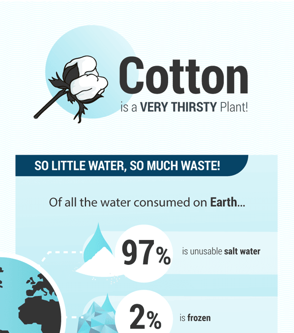 Cotton Infographic