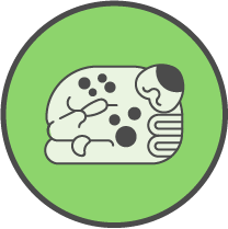 icon3